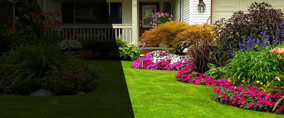 Athens Landscapers